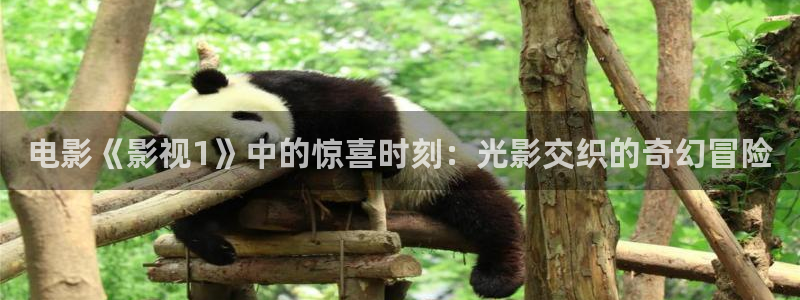 秋霞电影网站国产在线观看：电影《影视1》中的惊喜时刻：光影交织的奇幻冒险