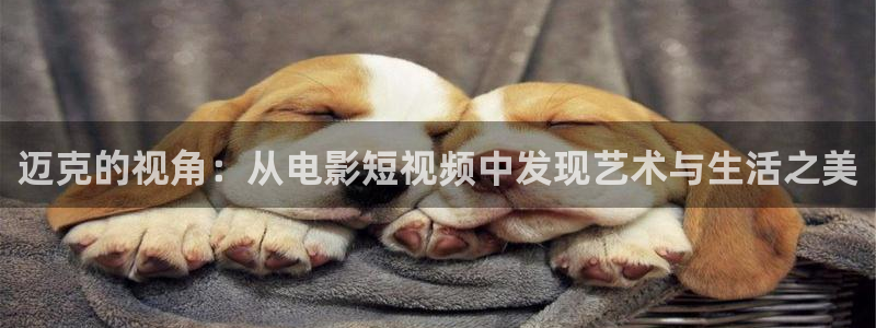 秋霞影院久久九九：迈克的视角：从电影短视频中发现艺术与生活之美