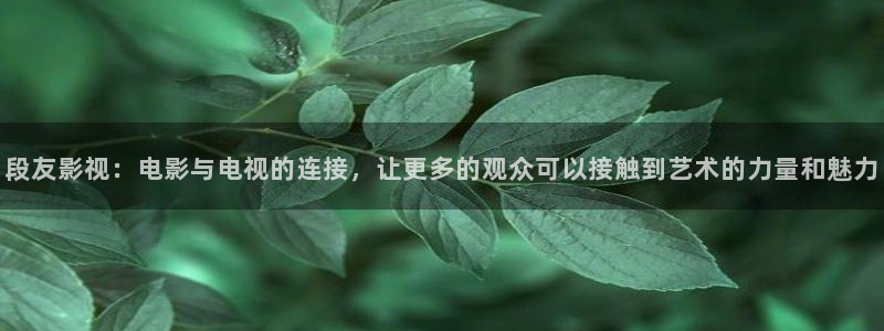 秋霞电影网免费的：段友影视：电影与电视的连接，让更多的观众可以接触到艺术的力量和魅力