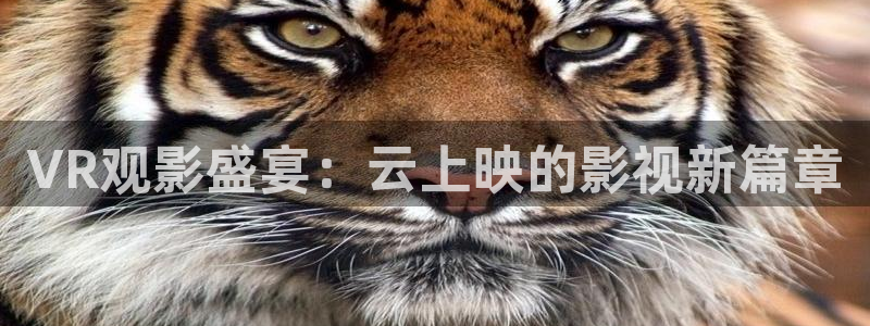 最新秋霞：VR观影盛宴：云上映的影视新篇章