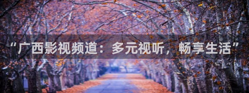 80s电影秋霞网：“广西影视频道：多元视听，畅享生活”