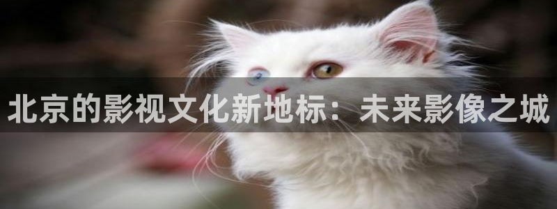 秋霞网中文字幕：北京的影视文化新地标：未来影像之城
