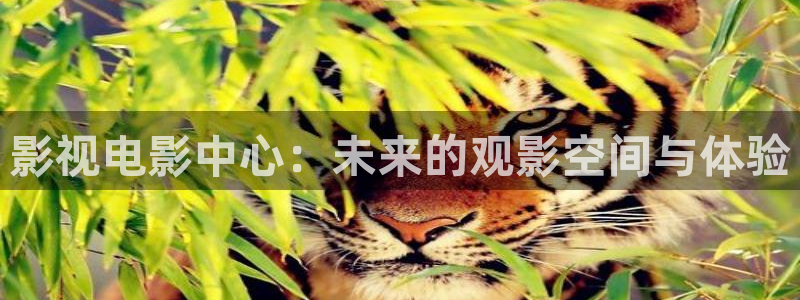 秋霞电影网：影视电影中心：未来的观影空间与体验