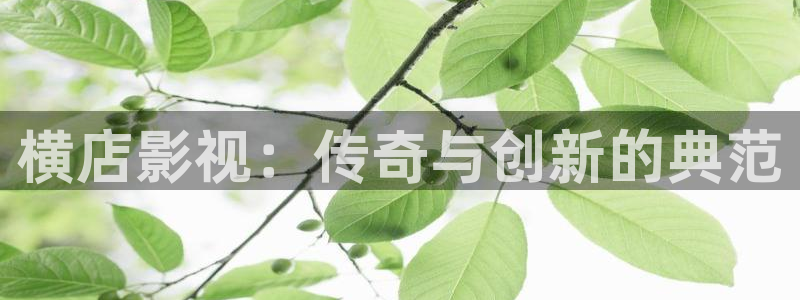秋霞.：横店影视：传奇与创新的典范