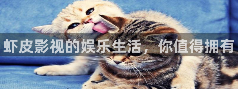 理论秋霞电影网：虾皮影视的娱乐生活，你值得拥有