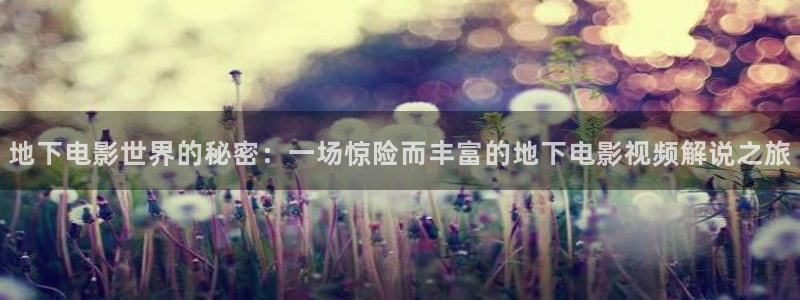 秋霞影院.：地下电影世界的秘密：一场惊险而丰富的地下电影视频解说之旅