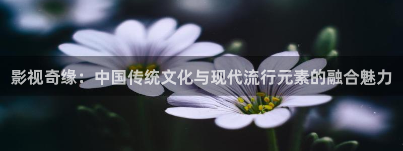 秋霞电视电影：影视奇缘：中国传统文化与现代流行元素的融合魅力