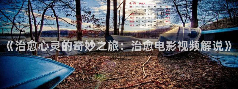 秋霞电影手机看：《治愈心灵的奇妙之旅：治愈电影视频解说》