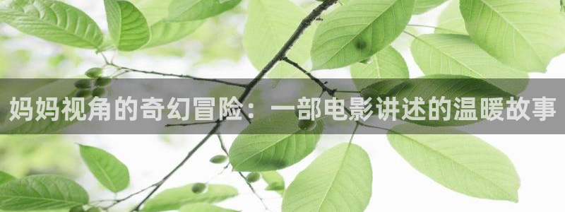 97秋霞影院：妈妈视角的奇幻冒险：一部电影讲述的温暖故事