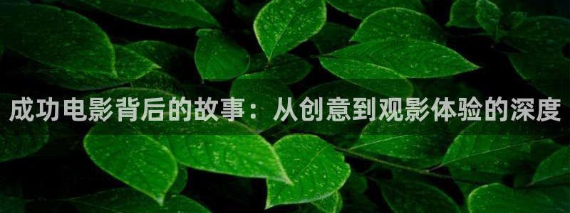 秋霞电影 网：成功电影背后的故事：从创意到观影体验的深度