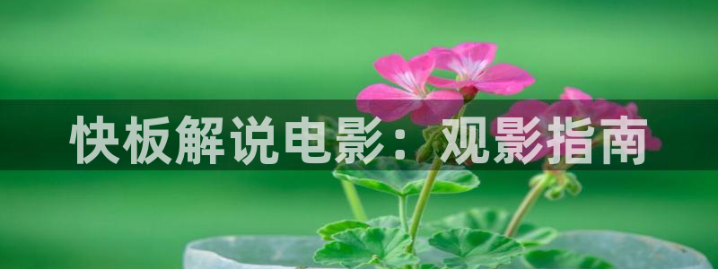 秋霞先锋网