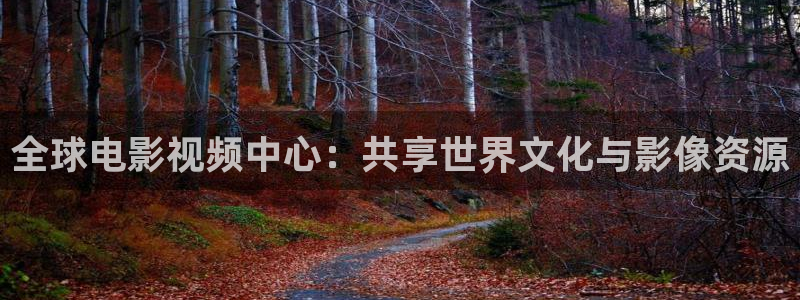 秋霞网免费视频观看