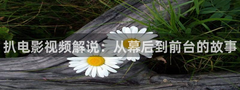 秋霞电影66：扒电影视频解说：从幕后到前台的故事