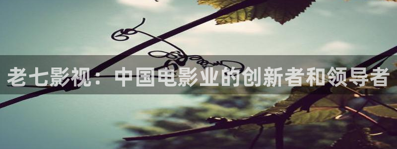 极趣网秋霞：老七影视：中国电影业的创新者和领导者