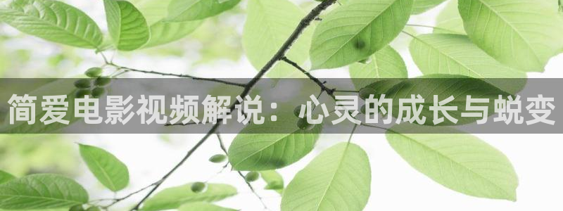 最新秋霞电影网：简爱电影视频解说：心灵的成长与蜕变