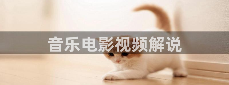 秋霞电影网官：音乐电影视频解说