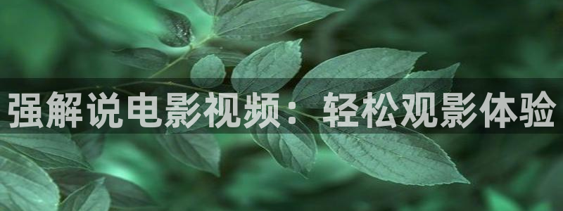 被窝电影秋霞影院：强解说电影视频：轻松观影体验