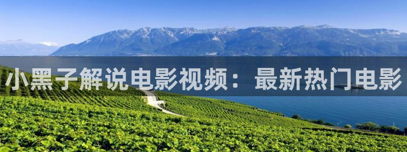 国产秋霞电影网：小黑子解说电影视频：最新热门电影