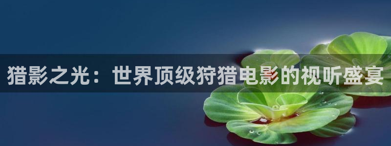 秋霞电影网八妻子：猎影之光：世界顶级狩猎电影的视听盛宴