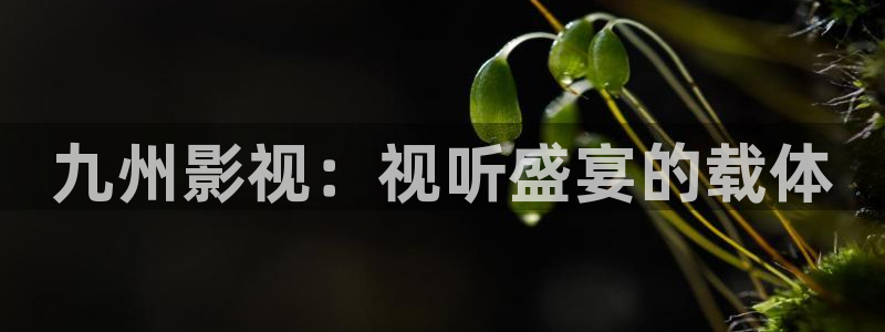 新秋霞影视网：九州影视：视听盛宴的载体