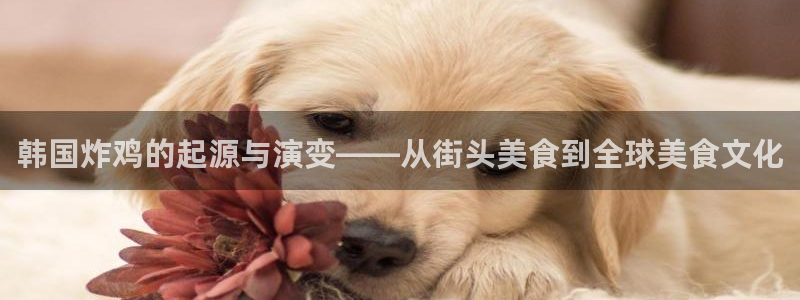 午夜神马秋霞影院：韩国炸鸡的起源与演变——从街头美食到全球美食文化