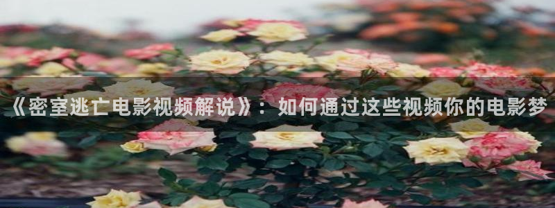 秋霞网日本韩国：《密室逃亡电影视频解说》：如何通过这些视频你的电影梦