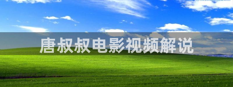 秋霞网站鲁丝片：唐叔叔电影视频解说