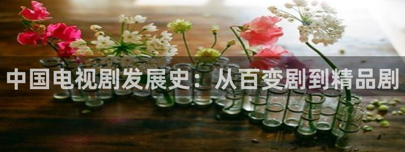 秋霞久久理论电影：中国电视剧发展史：从百变剧到精品剧