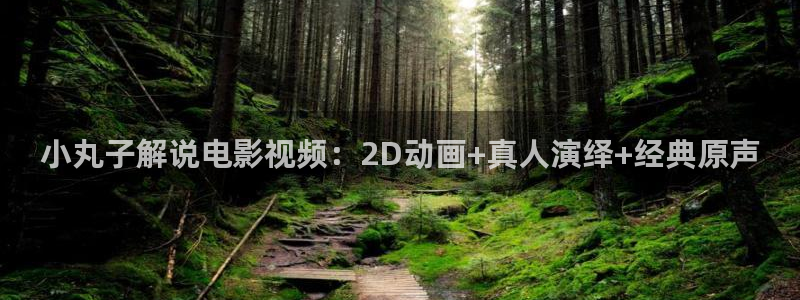 神马影视秋霞影院：小丸子解说电影视频：2D动画+真人演绎+经典原声