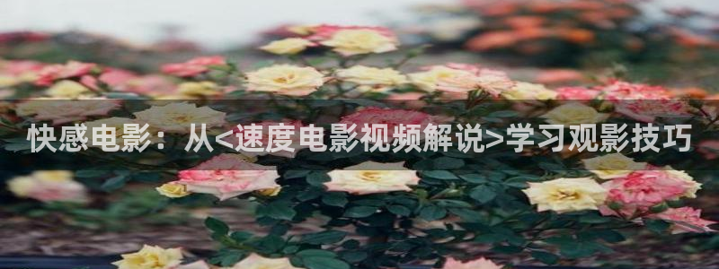 秋霞手机高清：快感电影：从<速度电影视频解说>学习观影技巧