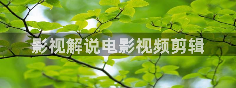 秋霞理论大片：影视解说电影视频剪辑