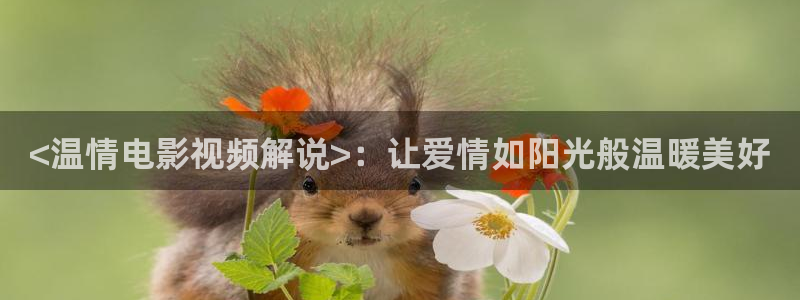秋霞电影'