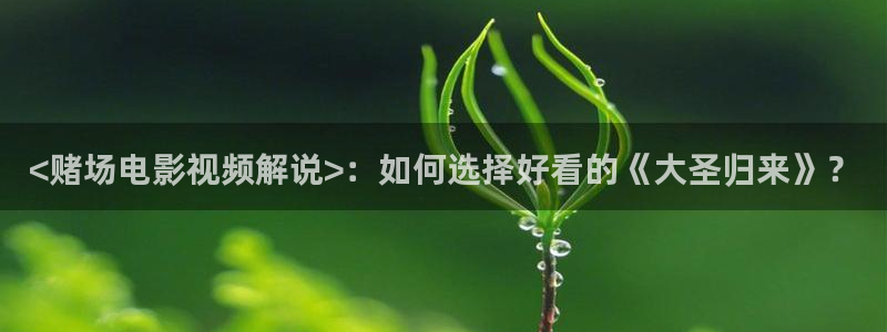 秋霞在线观看视频在线观看视频：<赌场电影视频解说>：如何选择好看的《大圣归来》？