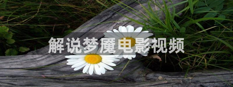 秋霞影院在观看视频：解说梦魇电影视频