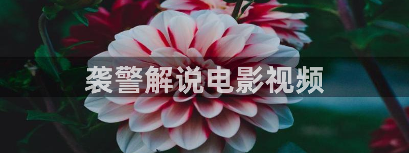 秋霞免：袭警解说电影视频