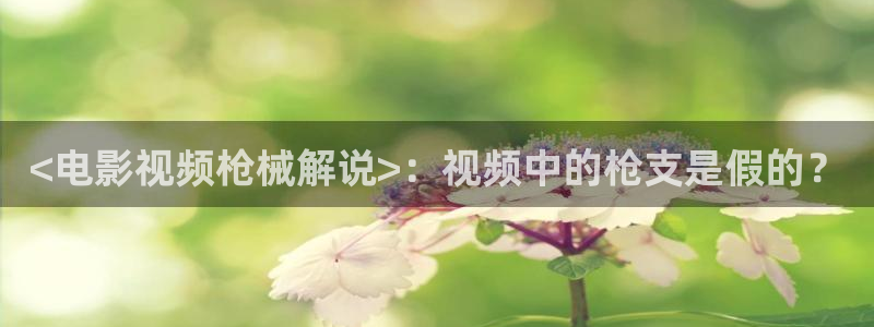 秋霞理伦理片：<电影视频枪械解说>：视频中的枪支是假的？