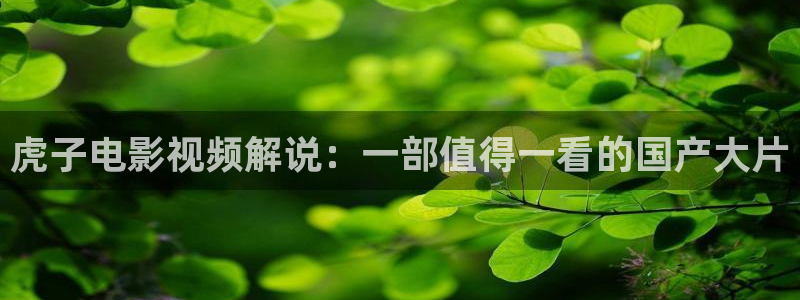 秋霞影院新：虎子电影视频解说：一部值得一看的国产大片