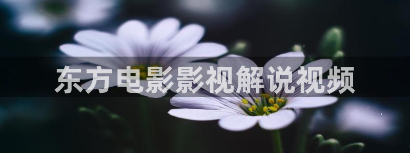 秋霞成人午夜电影伦片：东方电影影视解说视频