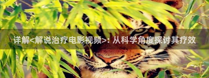 神马电影达达兔秋霞电影：详解<解说治疗电影视频>: 从科学角度探讨其疗效