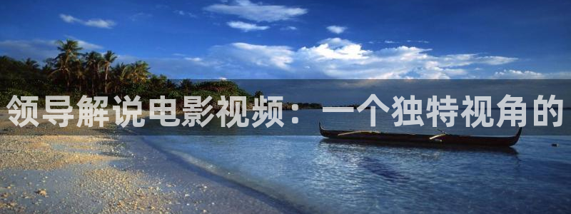 理论电影秋霞：领导解说电影视频：一个独特视角的