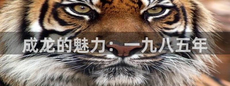 秋霞电影二区：成龙的魅力：一九八五年