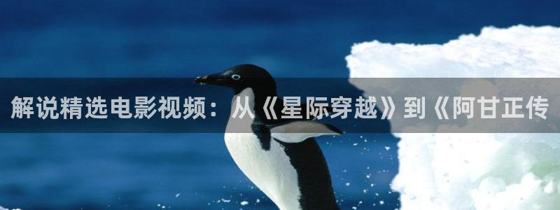 秋霞理乱电影