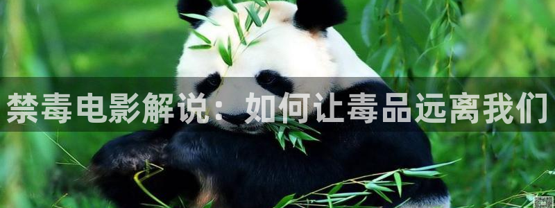 秋霞屋电影网：禁毒电影解说：如何让毒品远离我们
