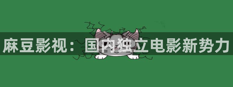 午夜秋霞影视网：麻豆影视：国内独立电影新势力