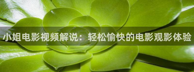 秋霞先锋网：小姐电影视频解说：轻松愉快的电影观影体验