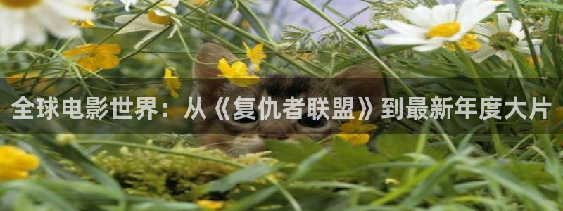 新秋霞电影26网：全球电影世界：从《复仇者联盟》到最新年度大片