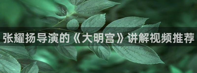 秋霞电影网十八岁入口：张耀扬导演的《大明宫》讲解视频推荐