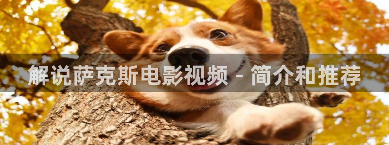 秋霞电影网色：解说萨克斯电影视频 - 简介和推荐