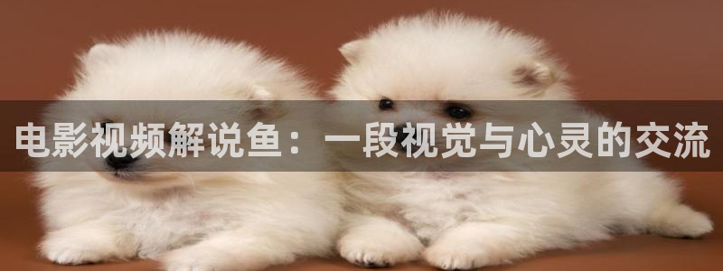 秋霞影视理论片：电影视频解说鱼：一段视觉与心灵的交流