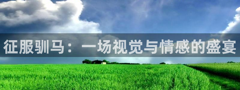 光棍影院秋霞：征服驯马：一场视觉与情感的盛宴